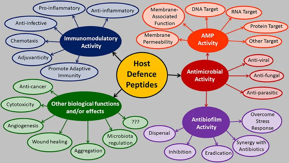 Kambo host defense peptides functions diagram