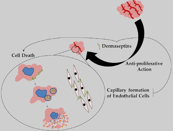 Kambo dermaseptin peptide antitumor science study research